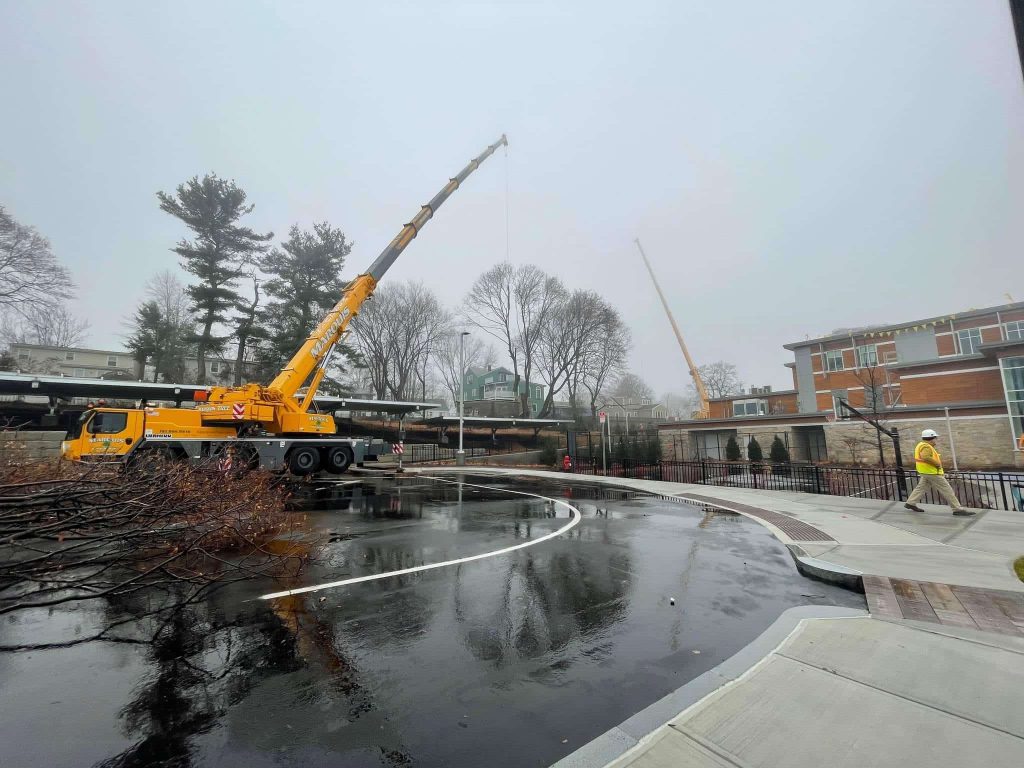 Rainy day tree removal service done by Marquis team members