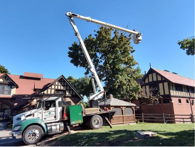 Tree pruning near a house in a residential area