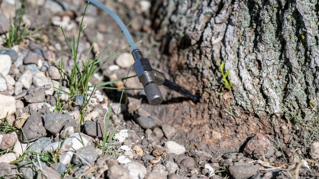 Prepping for tree disease inspections