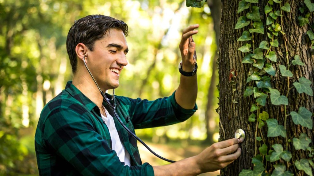Person inspecting the health a tree