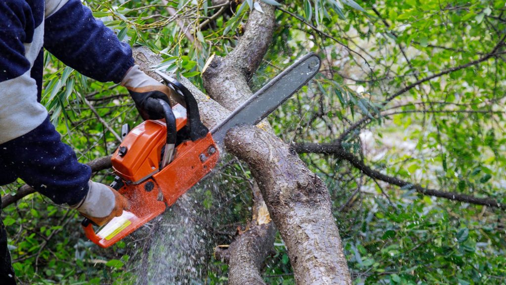 Team member proving emergency tree trimming services with a chainsaw