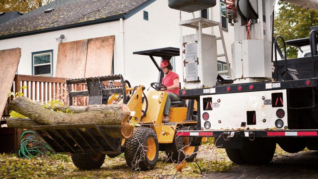 Licensed employee removing tree pieces out of the way