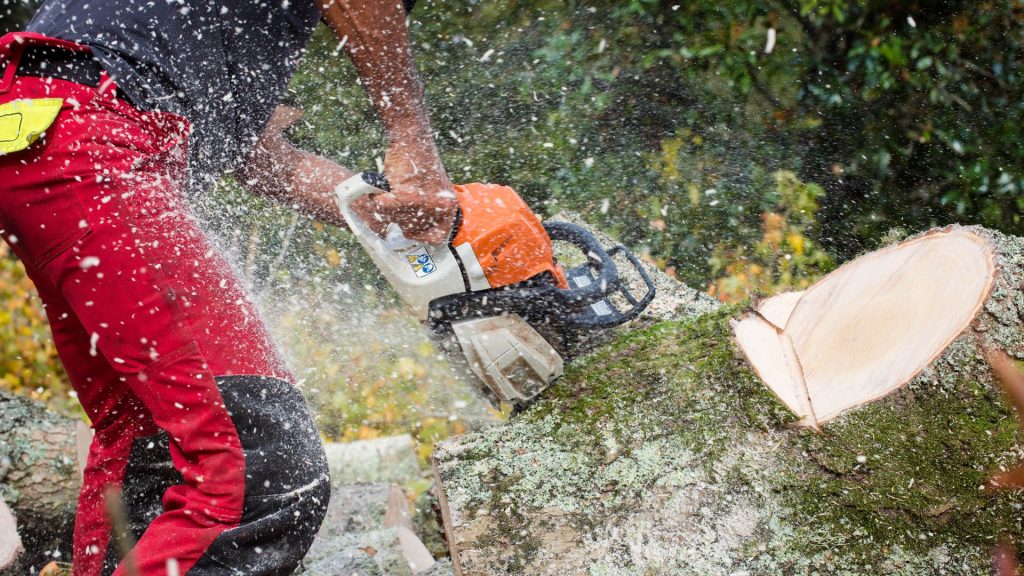 Employee cutting tree trunks using special cutting techniques