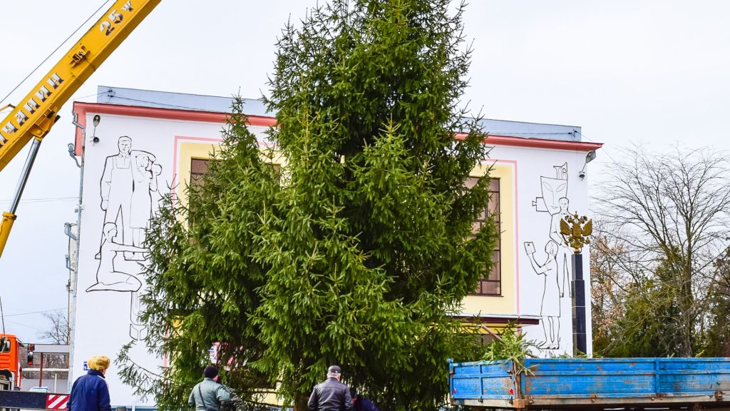 Marquis crew safely removing a tree with crane support in a commercial area in Massachusetts