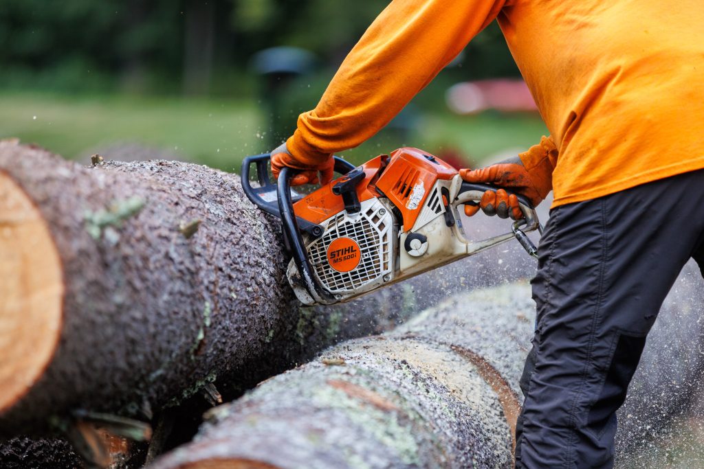 Close-up for cutting tree trunks by a Marquis employee