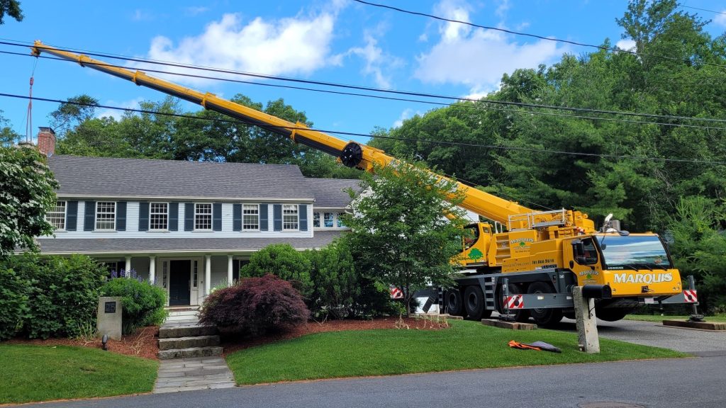 crane assisted tree removal near a house