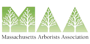 Massachusetts arborists association