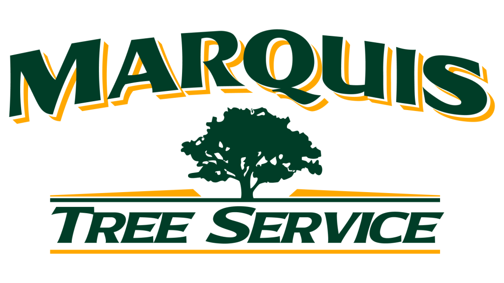 Marquis tree service clear logo