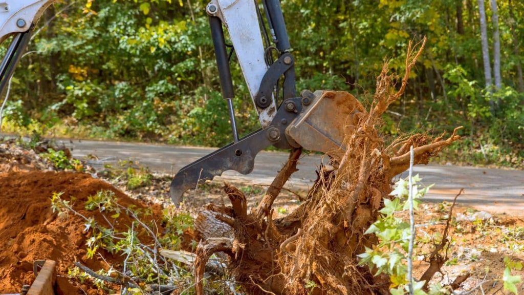 Crane picking up leftover pieces after tree removal