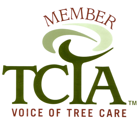 Member TCTA voice of tree care