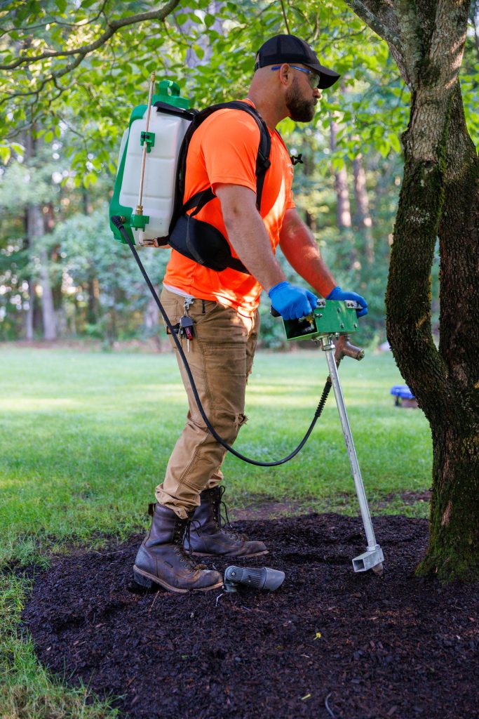 Team member prepping for deep root fertilization