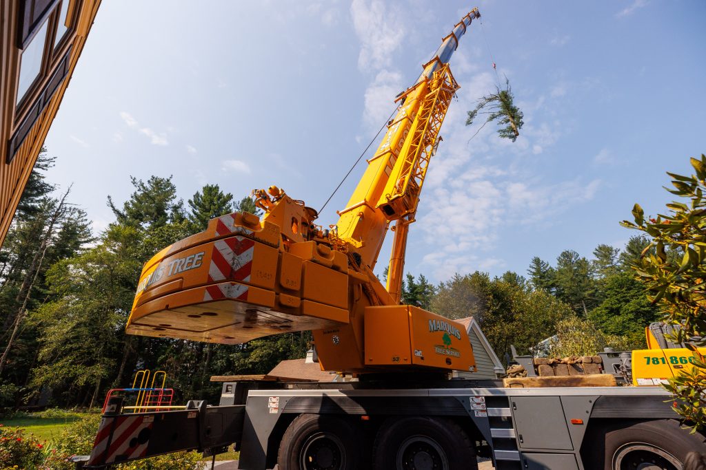 Crane equipment picking up tree pieces during removal
