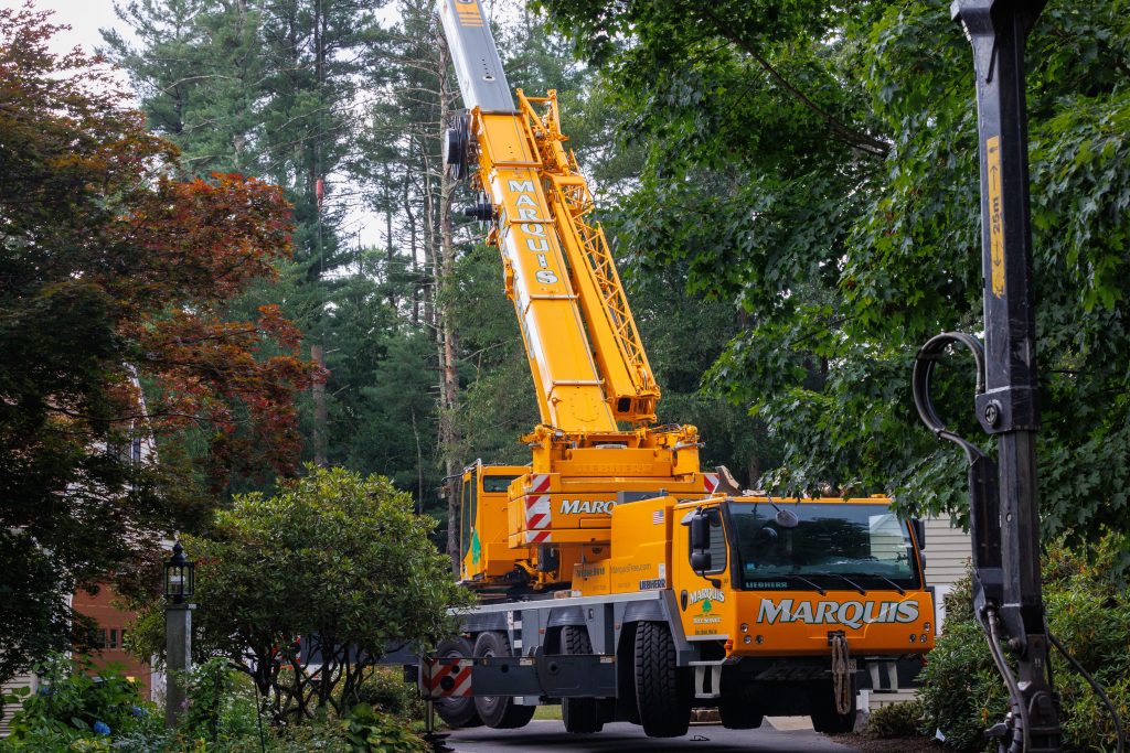 Crane assisted for tree removal in residential areas