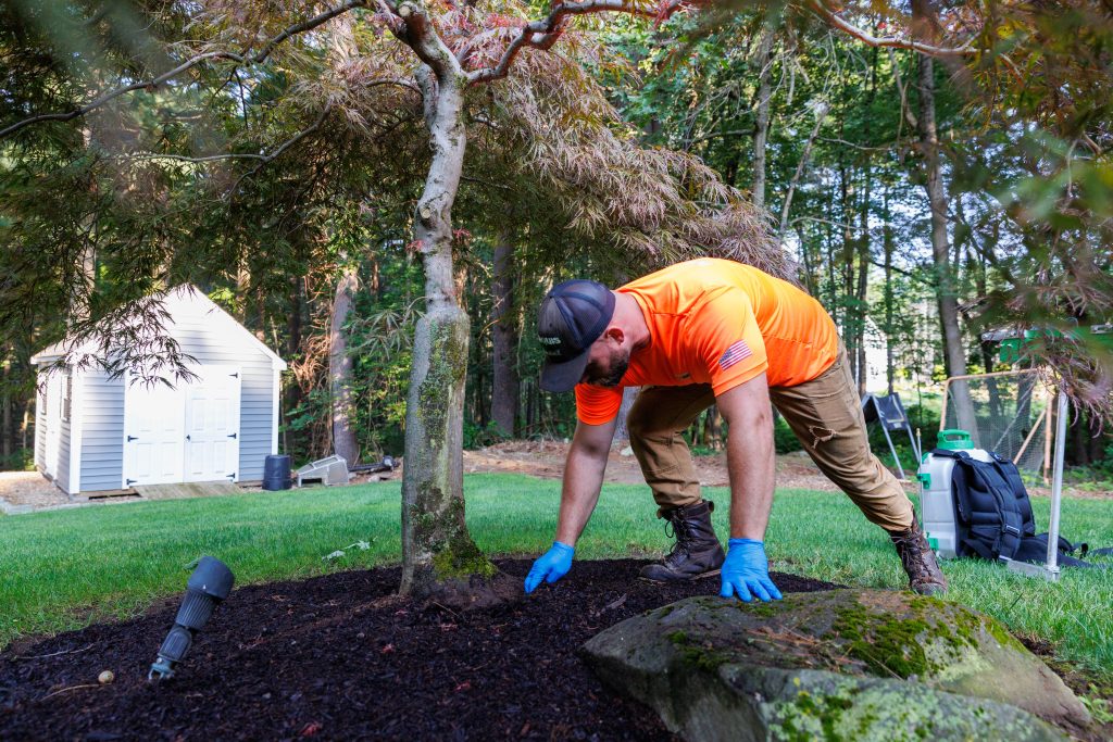 Inspecting area prior to treatment