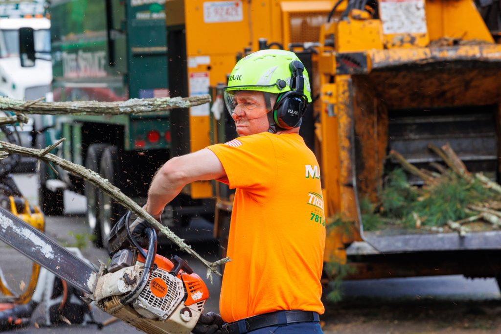 Tree service team members wearing safety gear at a residential job site in Massachusetts