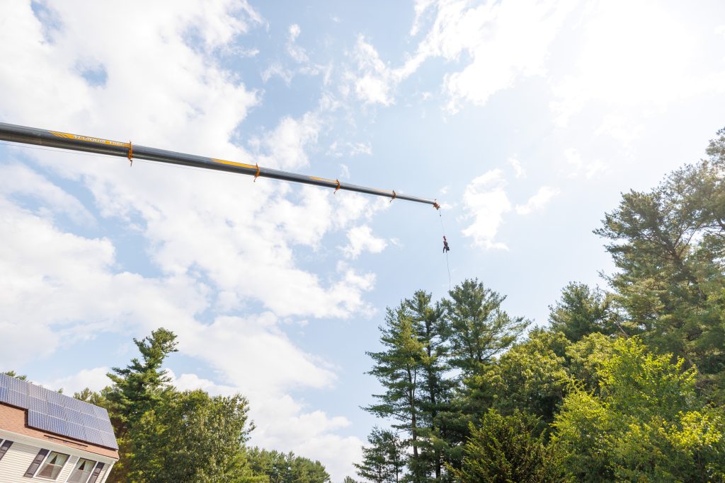 Crane being placed near tree for removal