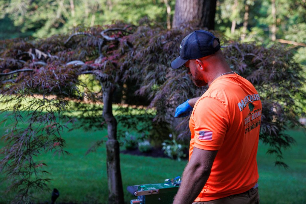 Plant health care expert working in backyard home