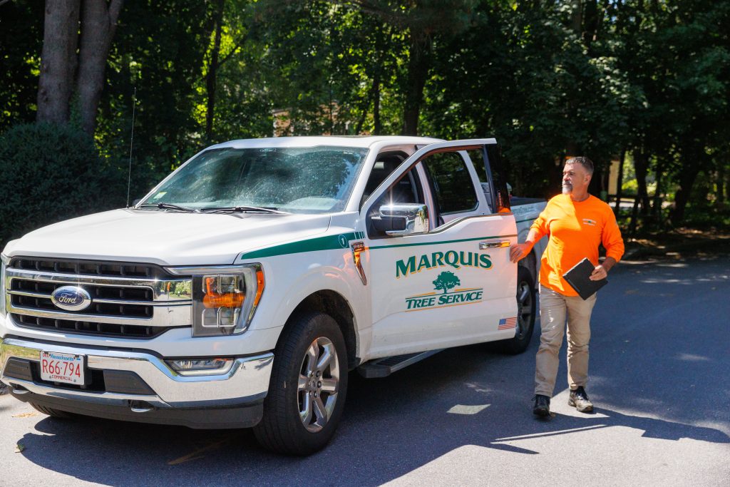 Arborist providing free estimate to client at their home in Massachusetts