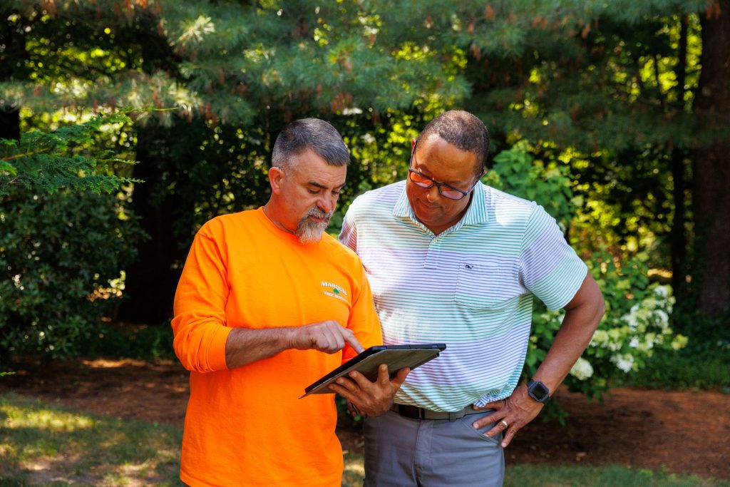 Team member and client discussing process of tree service