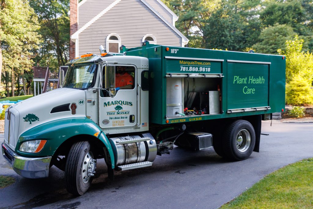 Team member driving company truck