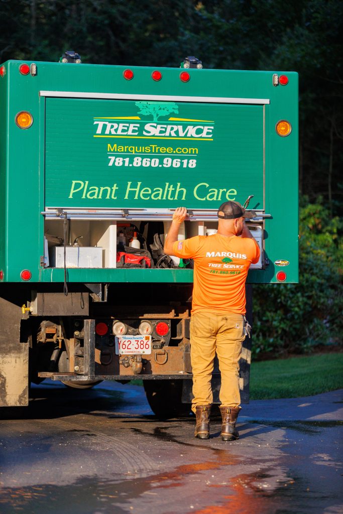 Marquis plant health care crew in Massachusetts