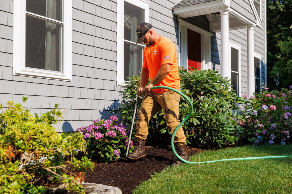 Technician performing deep root fertilization to promote tree health