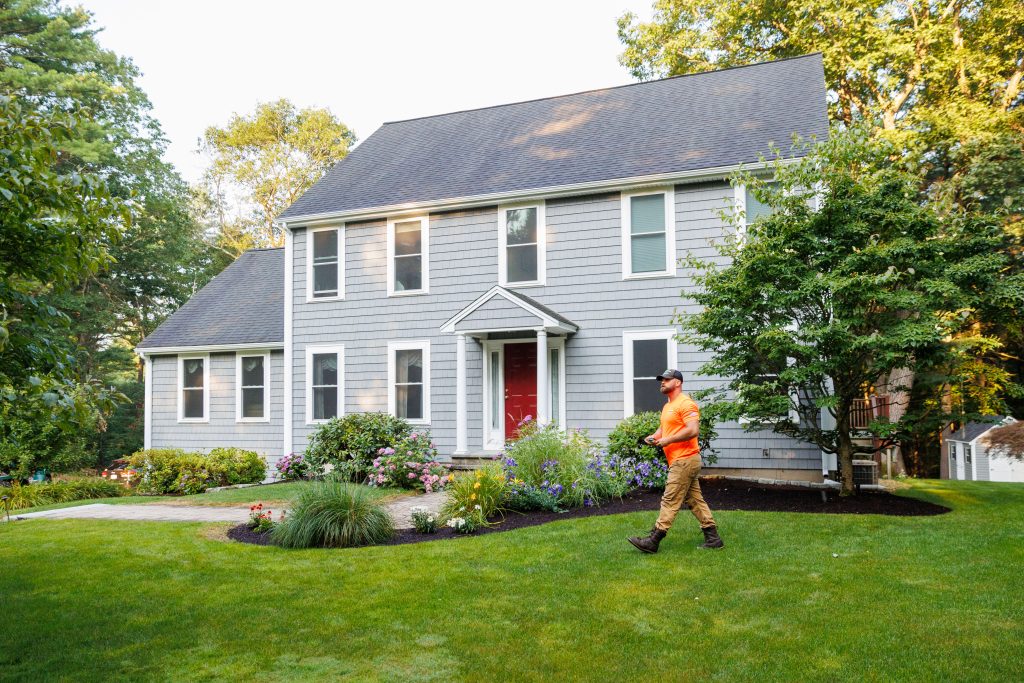 Team member inspecting yard for tree service
