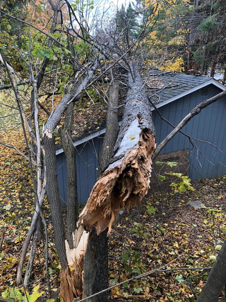 Large tree fallen on roof of home after storm in Massachusetts