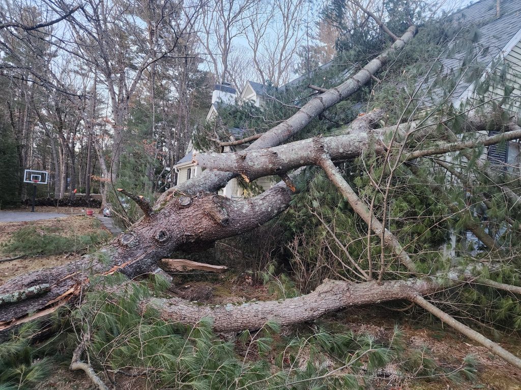 Trees collapsing on house after a storm