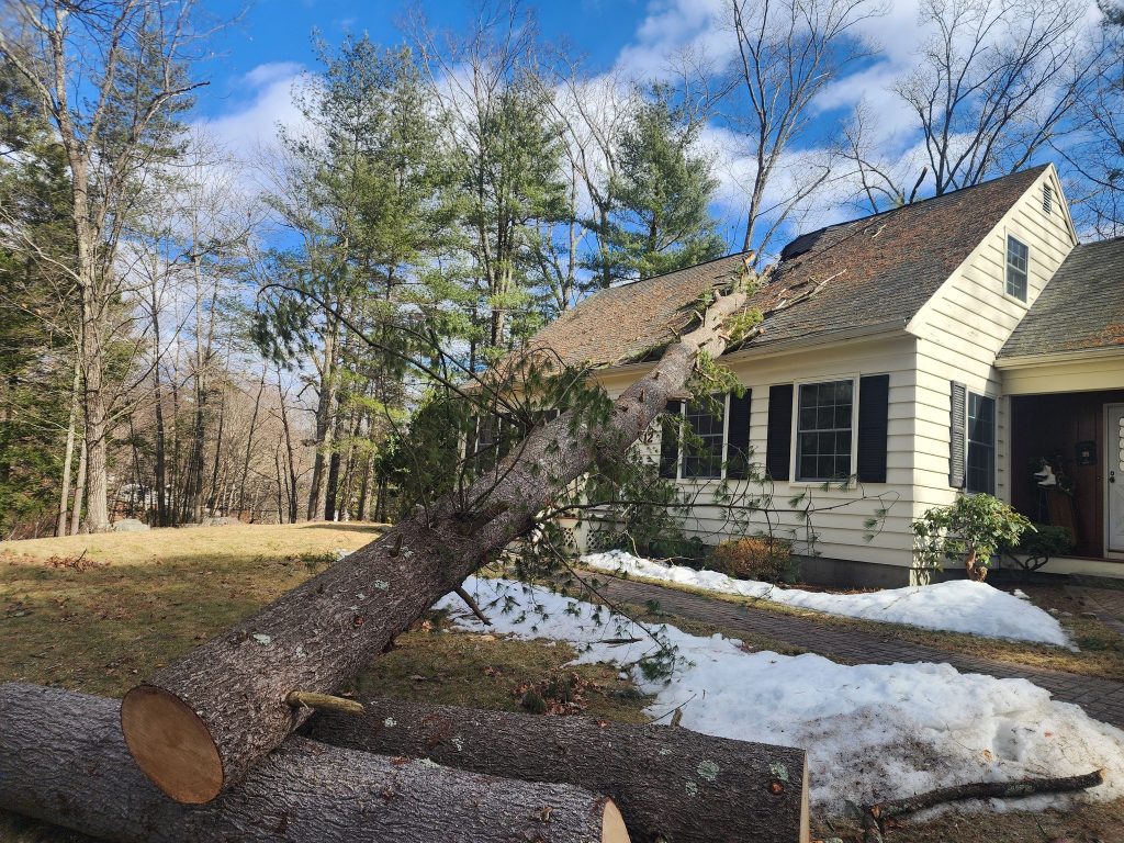 Tree resting on roof causing structural damage to residential property