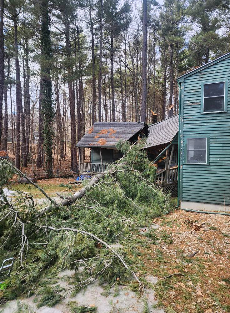 Broken branches from tree that fell on a Massachusetts residence