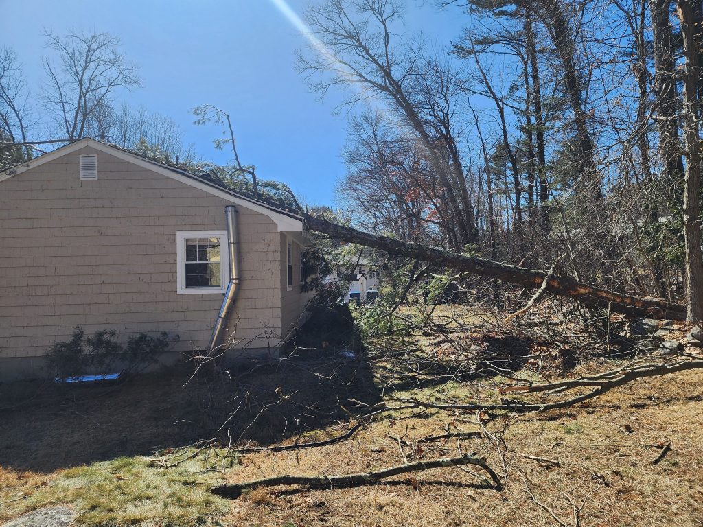Storm-damaged tree collapsed onto home
