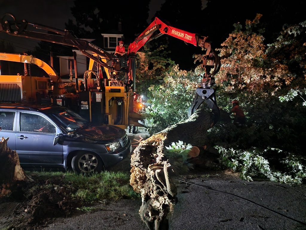 Marquis Tree Service helping with emergency tree removal