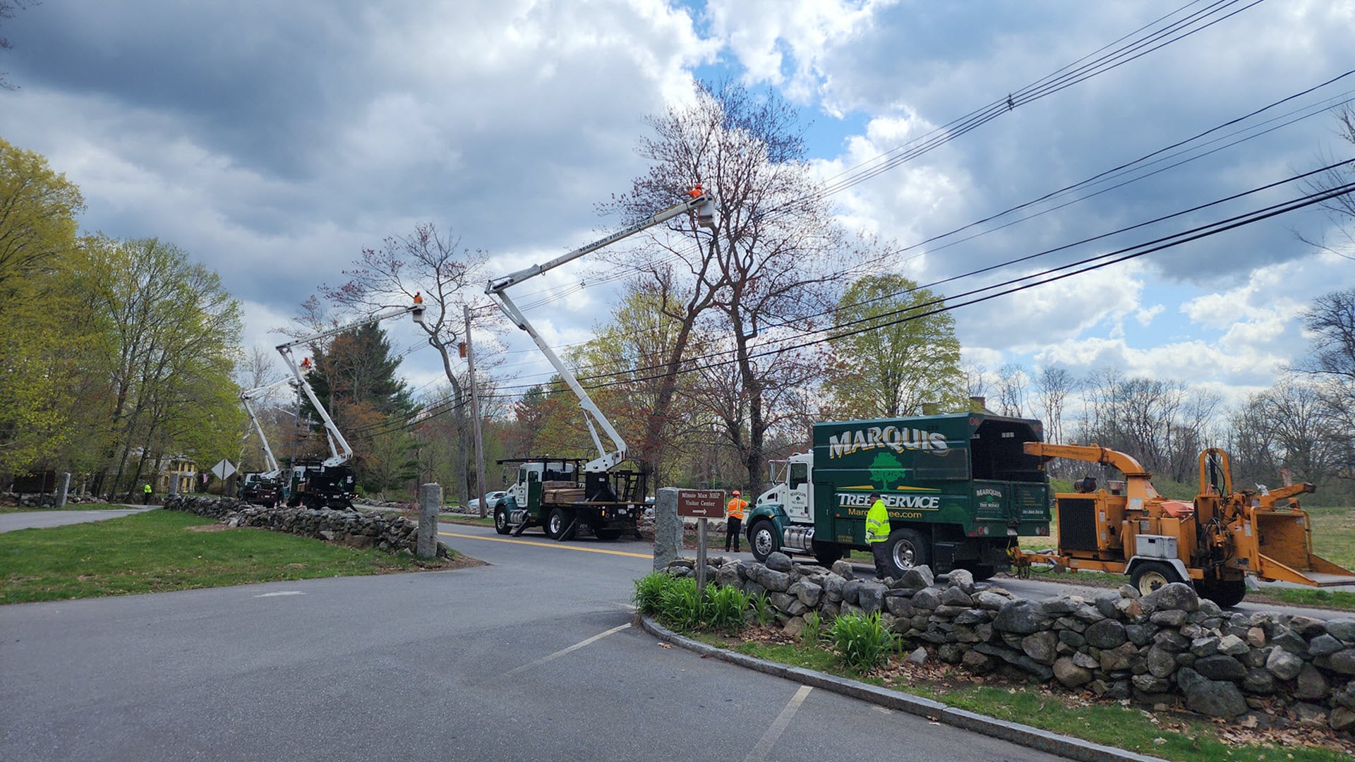 Team crew working together to remove tree from residence