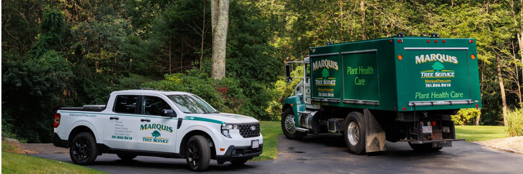 Photo of Marquis Tree Service trucks parked at a job site