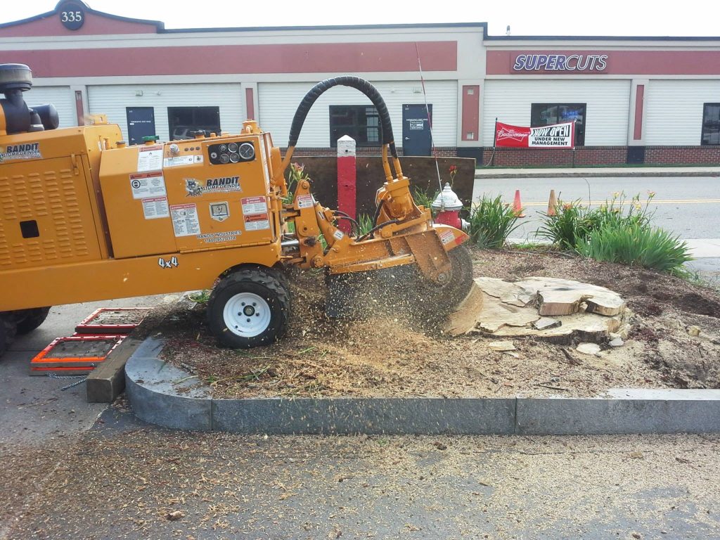 Stump grinding