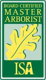 Board certified master arborist