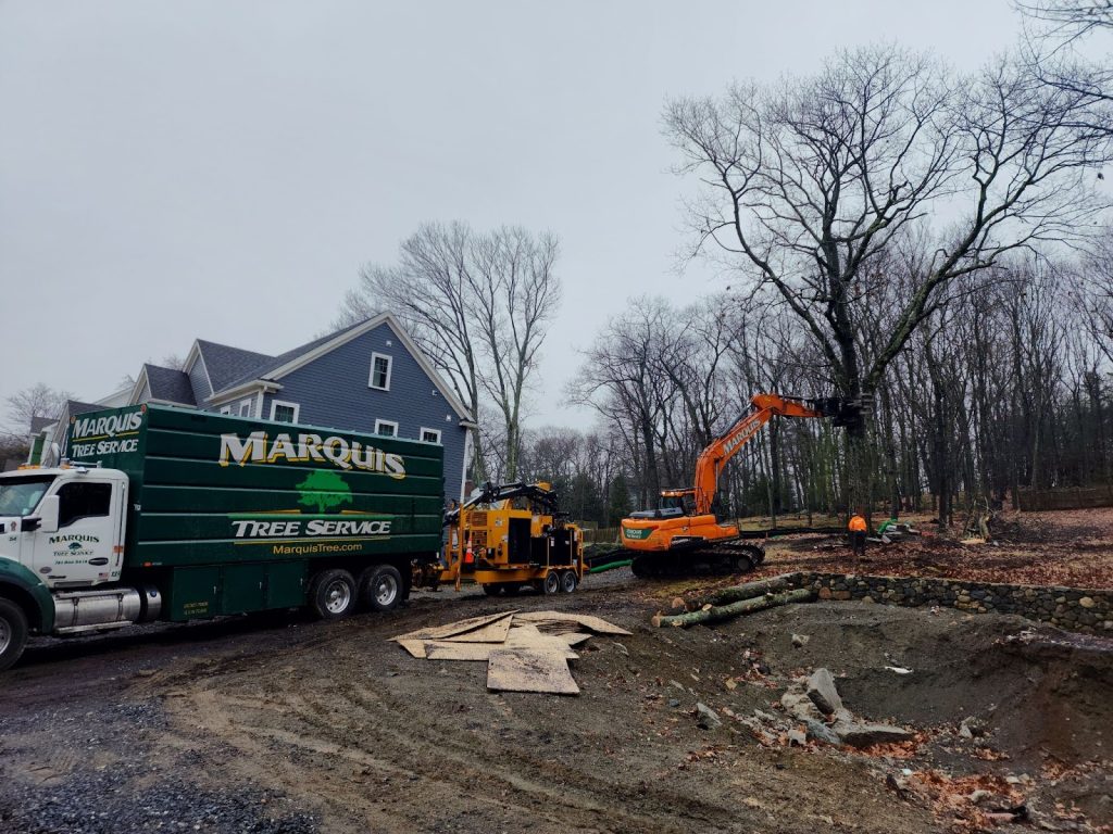 Excavator performing land clearing service