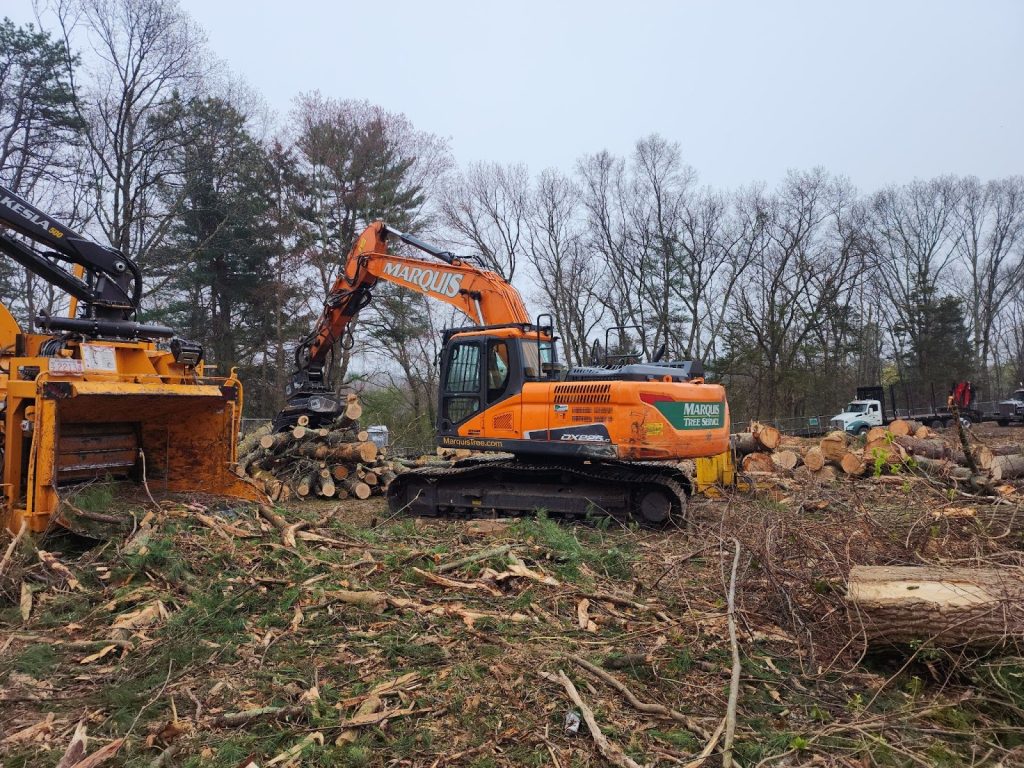 Excavator performing land clearing service