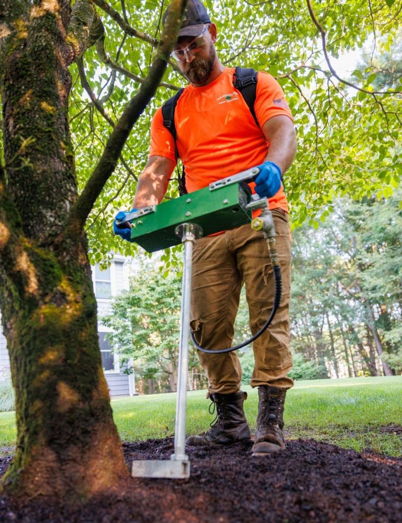 Marquis Tree Service employee performing deep root fertilization service