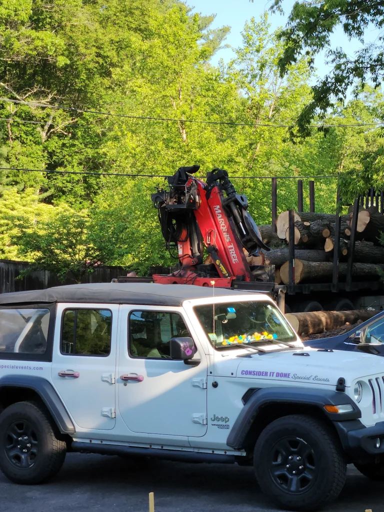 Equipment used for tree removal next to tree pieces