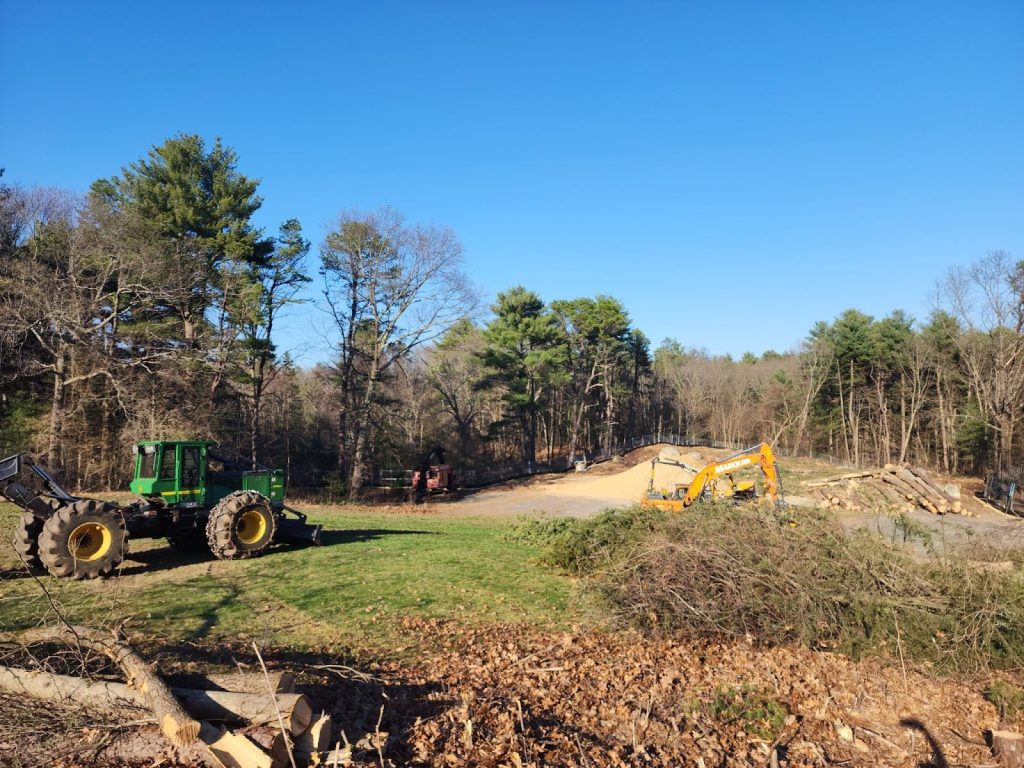 Aftermath of land clearing service